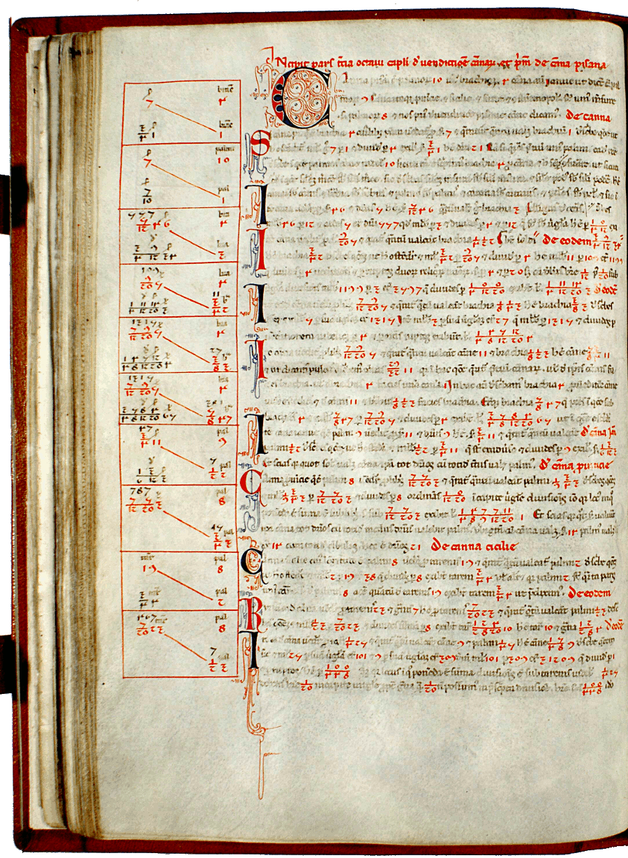 pagina iniziale capitolo ottavo parte terza del Liber abaci<br>Conv. Sopp. C.I. 2616, BNCF,  folio 46 verso